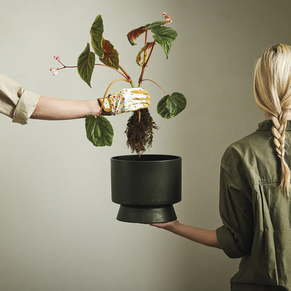 永續設計全新創作✦北歐櫥窗/Rosendahl RO 小草植栽盆(森綠、直徑 24cm)