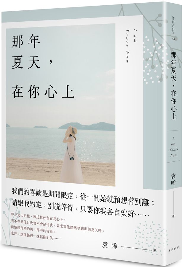 那年夏天, 在你心上