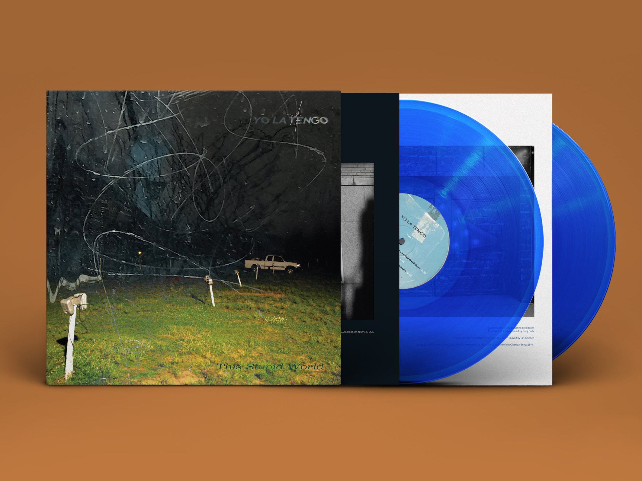 This Stupid World (2LP/Translucent Blue Vinyl)