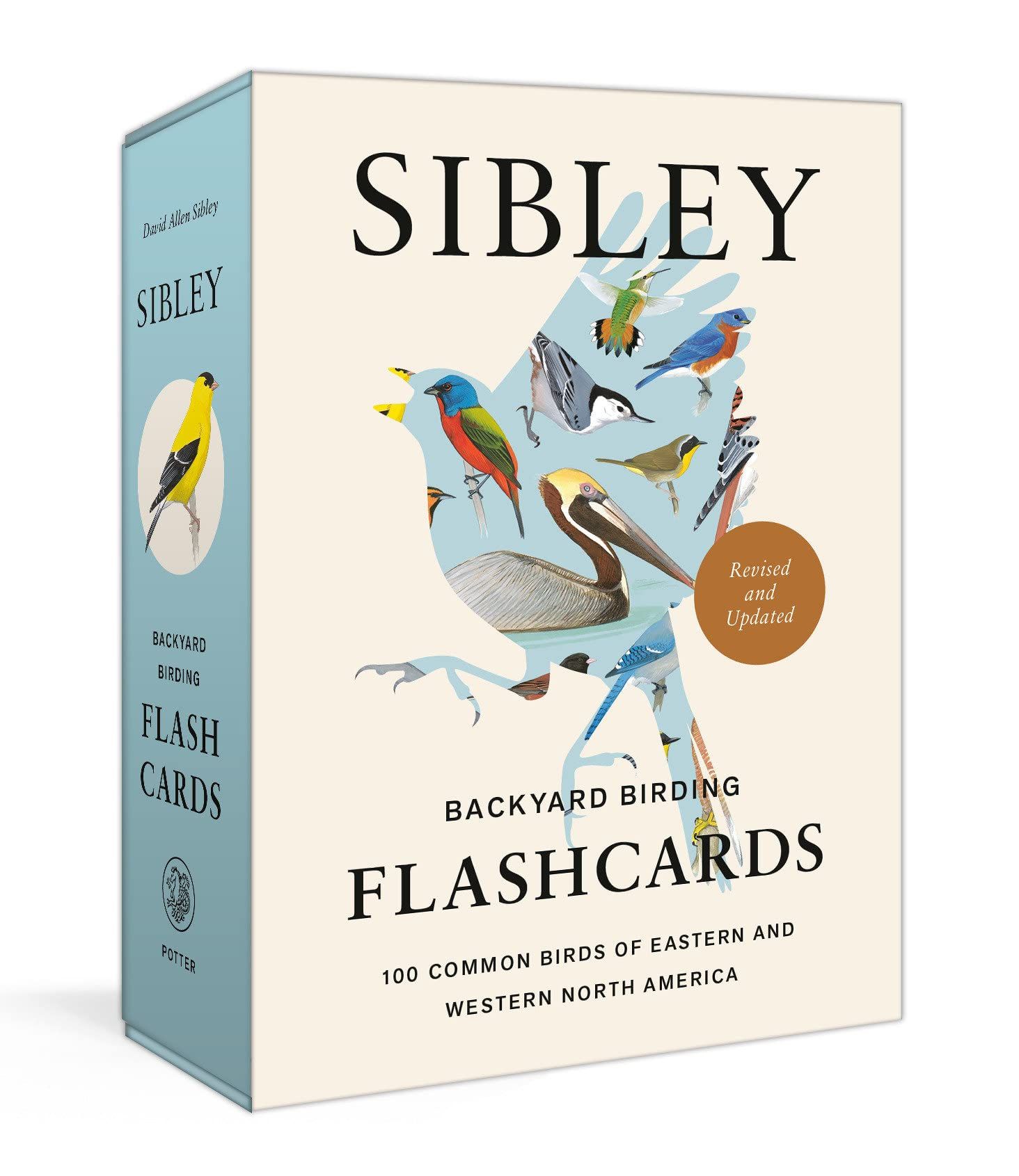 Sibley Backyard Birding Flashcards: 100 Common Birds of Eastern and Western North America (Revised and Updated Ed.)