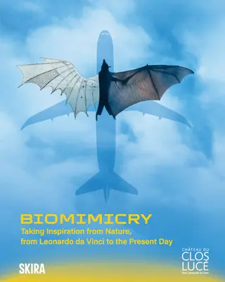 Biomimicry: Taking Inspiration from Nature: From Leonardo Da Vinci to the Present Day