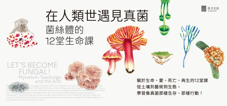 在人類世遇見真菌