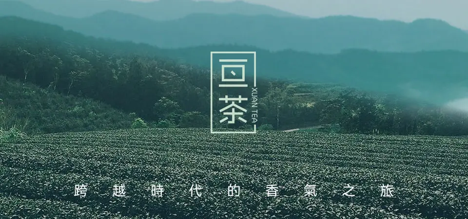 亘茶