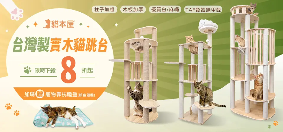 貓本屋 貓跳台 8折起